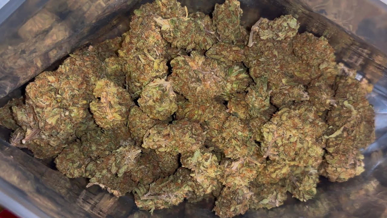 THCA SMALL BUDS CANDY GAS QP REVIEW &ldquo;GAS OR PASS&rdquo; & $20 OFF COUPON GIVE AWAY ! 