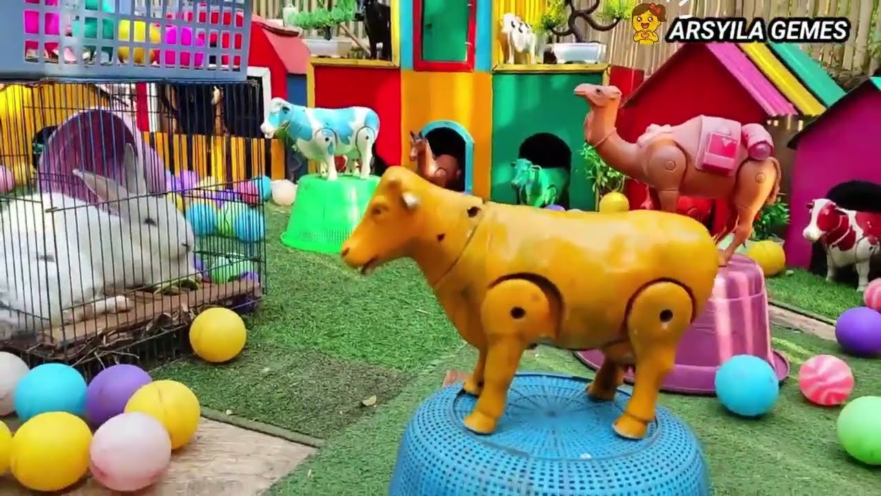Rainbow chicken , ayam pelangi , angsa kelinci lucu, sapi pelangi ,ayam warna warni di peternakan