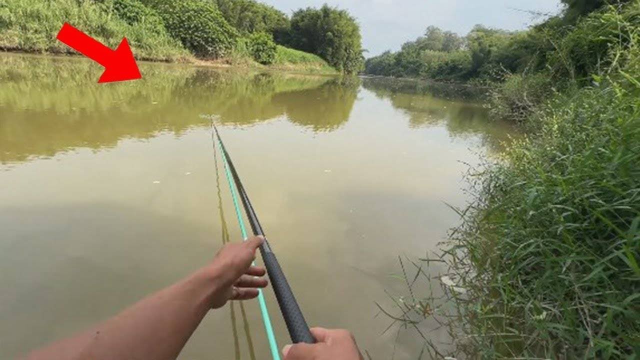 在蘆葦邊釣草魚，一釣一個准，河邊釣友都看呆了！【野釣長空】#野釣 #釣魚 #休閒娛樂