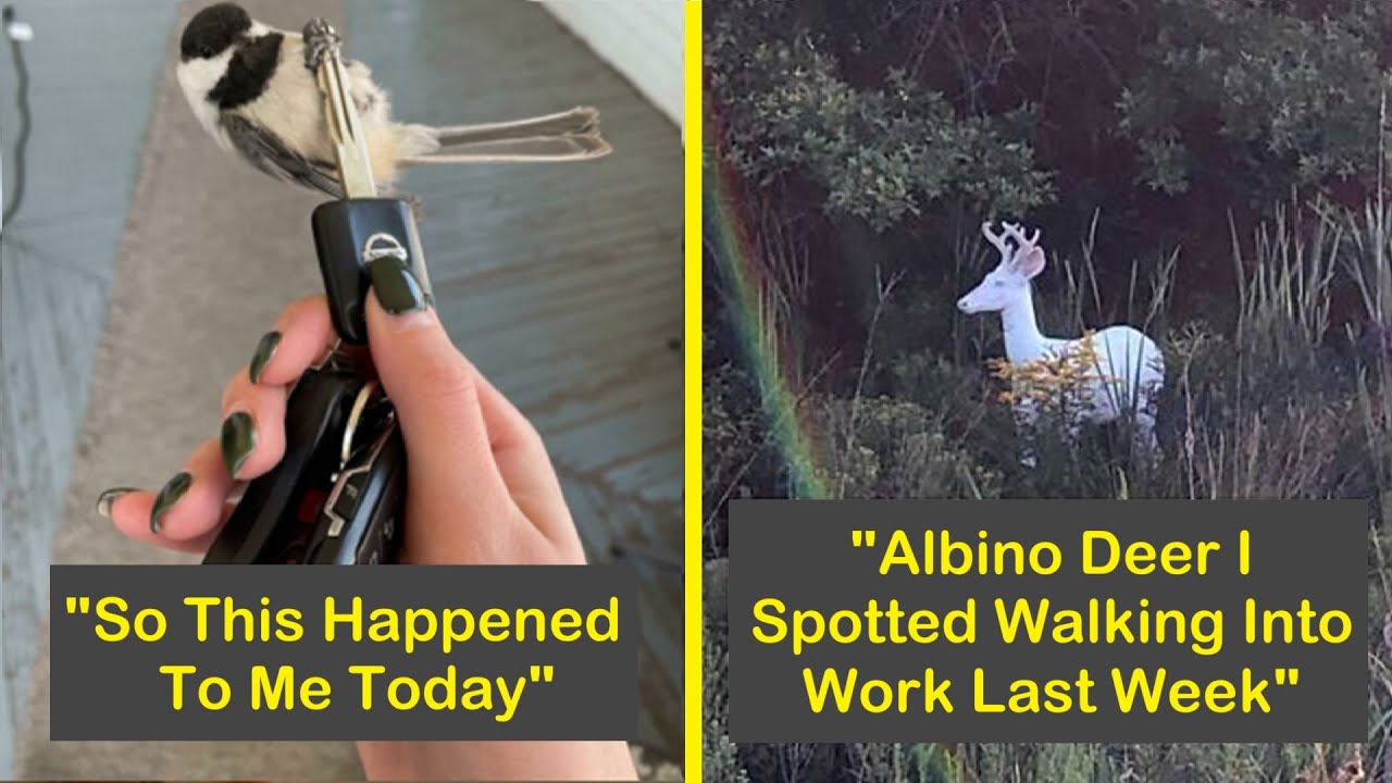 Times People Took A Photo Of Something ‘In Case Nobody Believed Them’ | Humor Sweet