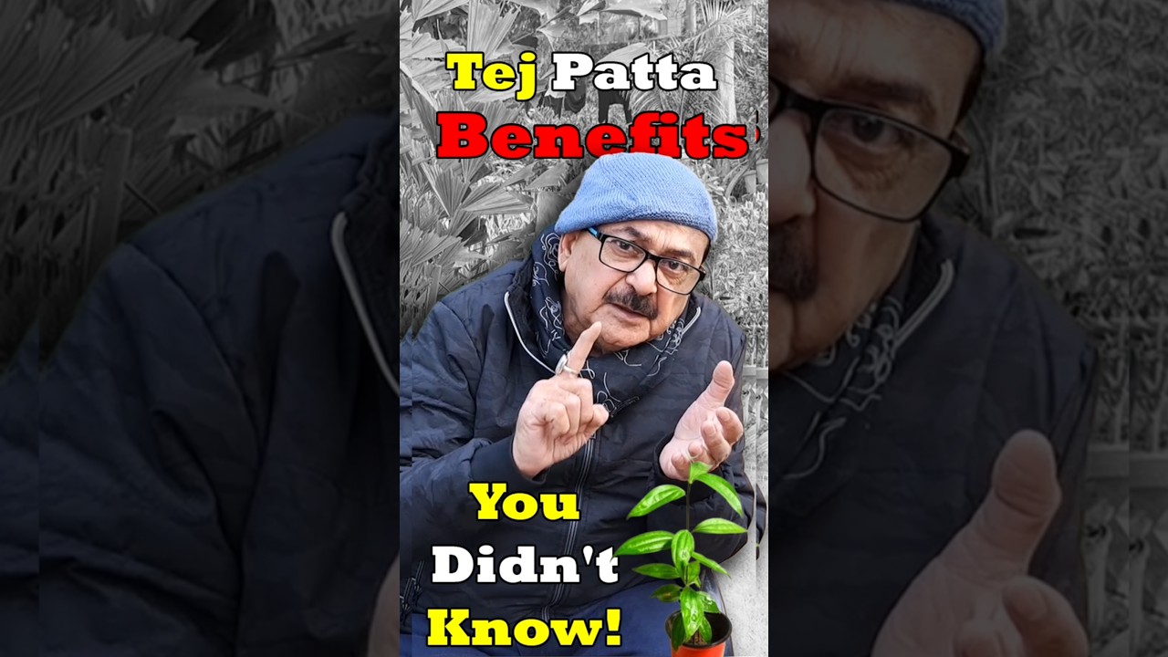 Bay Leaf Benefits You Never Knew | Ayurveda Secrets of Tejpatta #spicegarden #bayleaves