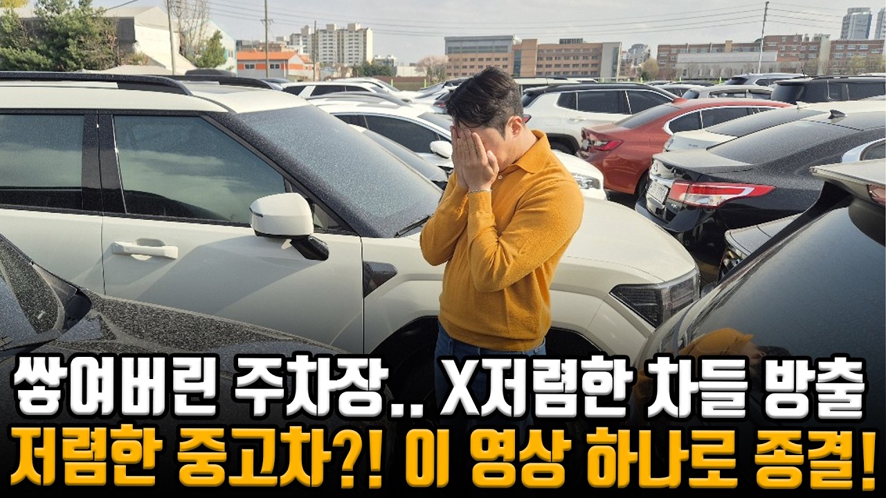중고차 터지기 직전;; 저렴한 중고차 찾으세요?! 그렇다면 이 영상 하나로 종결합니다!!
