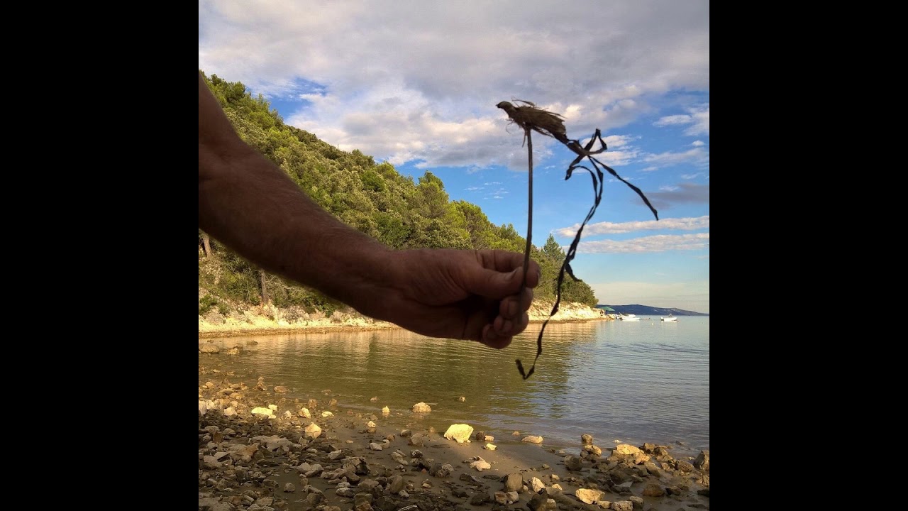 Prtlog, zeleni poluotok sreće