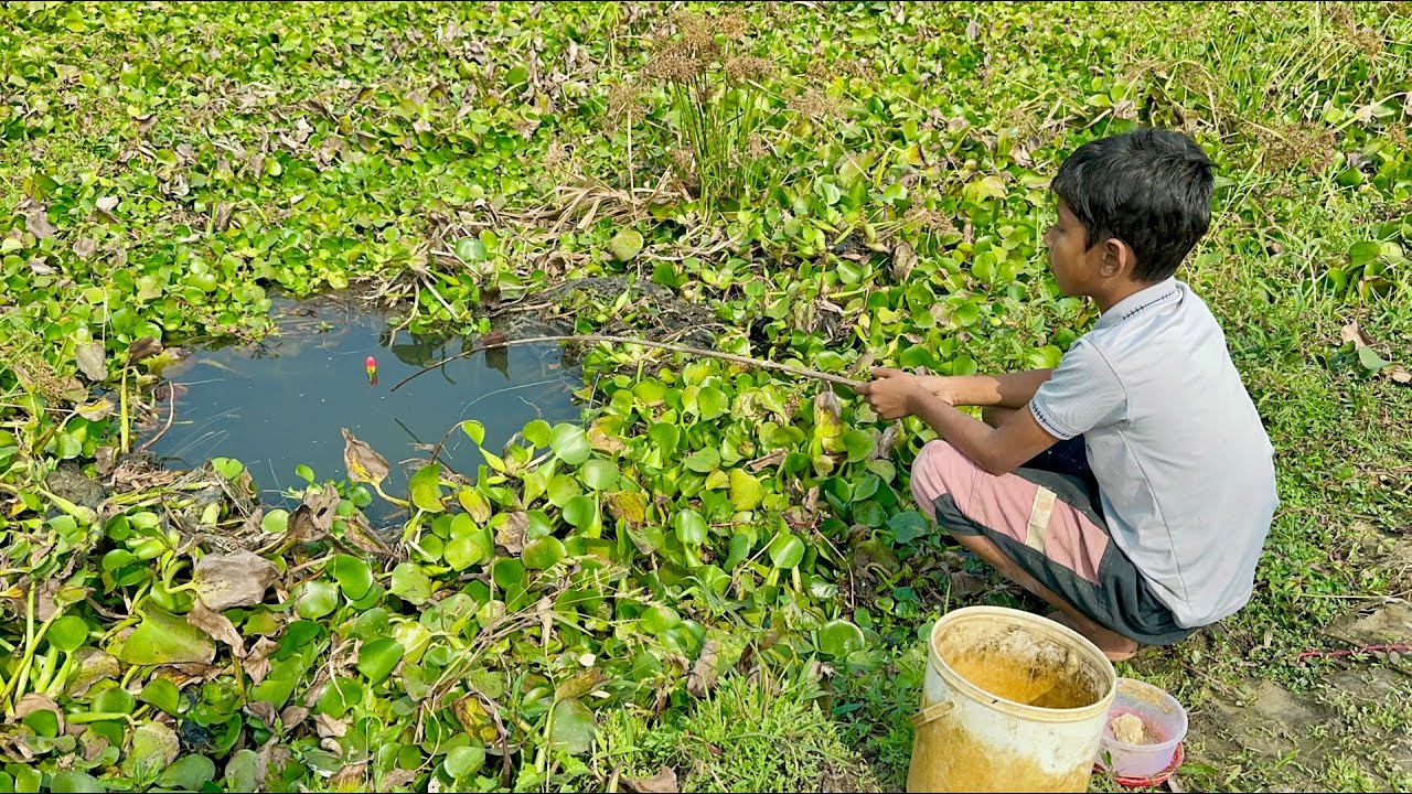 Little boy hunting catching fish by rod ~ Traditional hook fishing in the village canal 🥰🥰