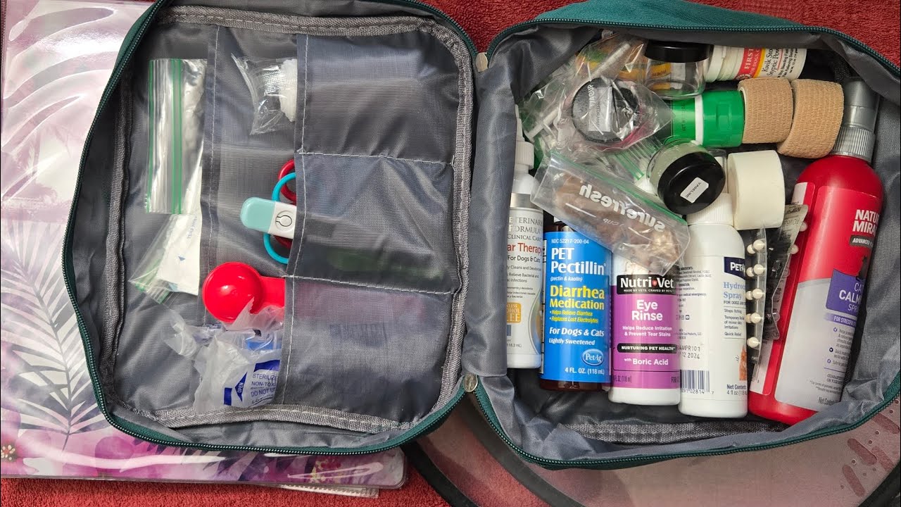 Pet First Aid