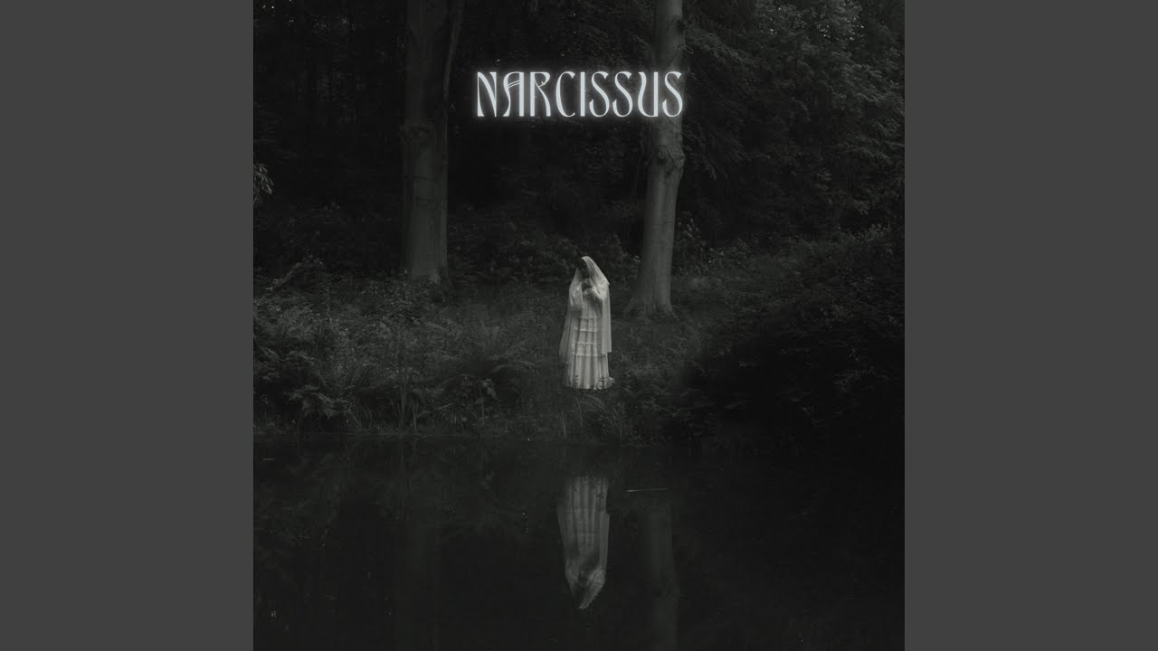 Narcissus