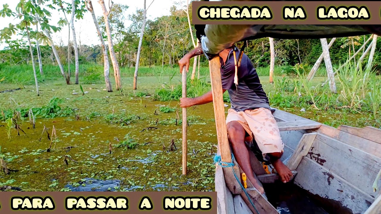 29° DIA / 40 DIAS  DESCENDO  O  RIO  AMAZONAS - chegada na lagoa para passar a noite