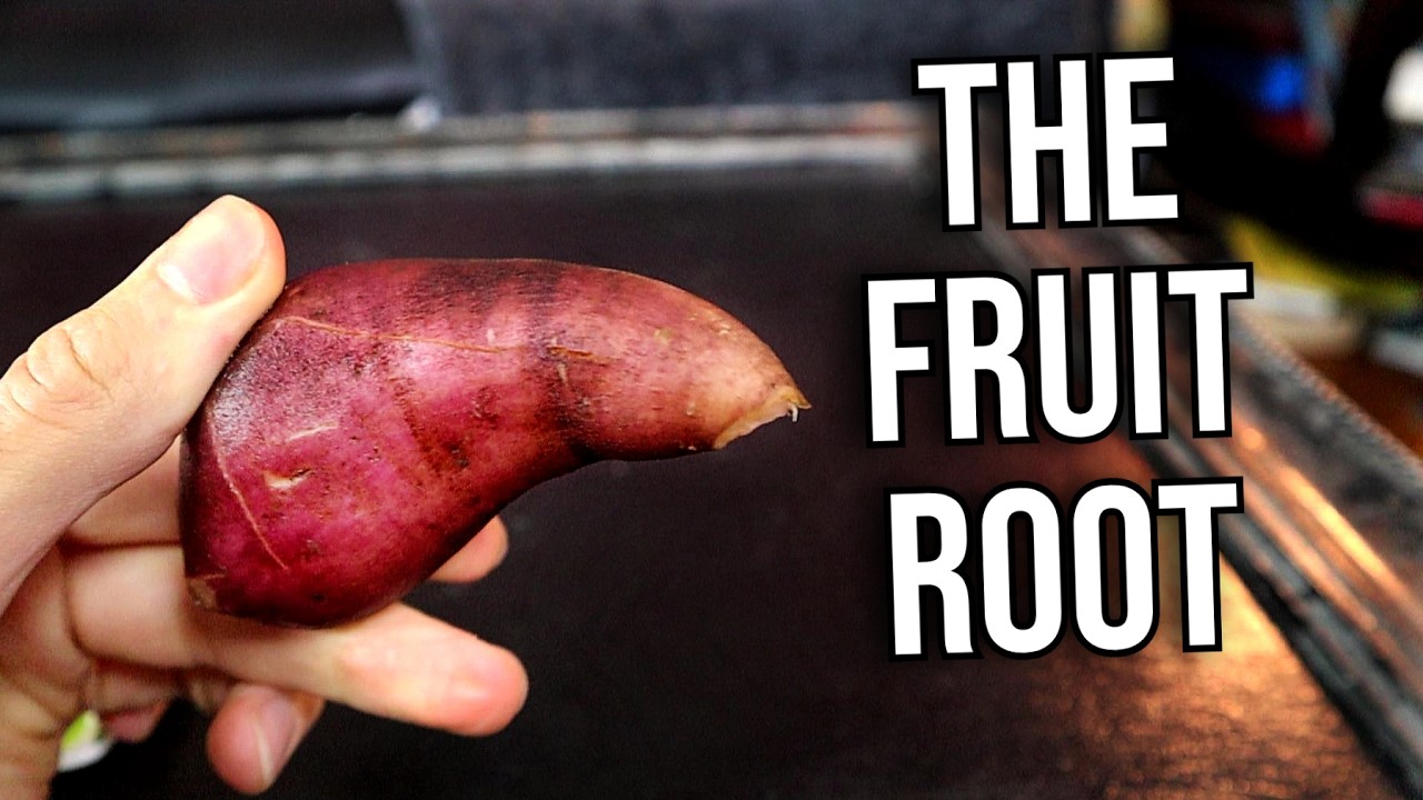 Yacón - This toot-inducing ROOT is used as a FRUIT! (and yacon syrup)