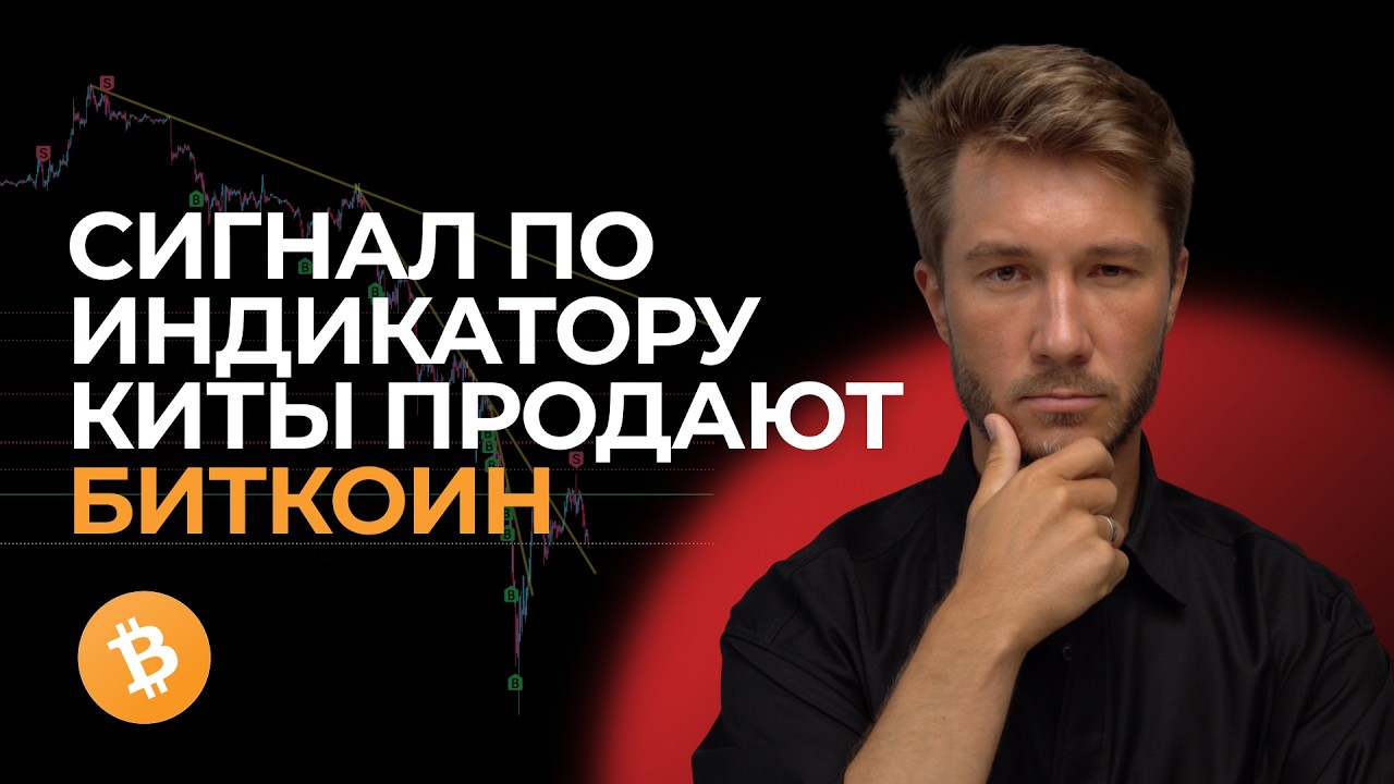 🚨 КИТЫ ПРОДАЮТ БИТКОИН. Когда ДНО по BTC. Как заработать на криптовалюте в 2026. Трейдинг стратегия