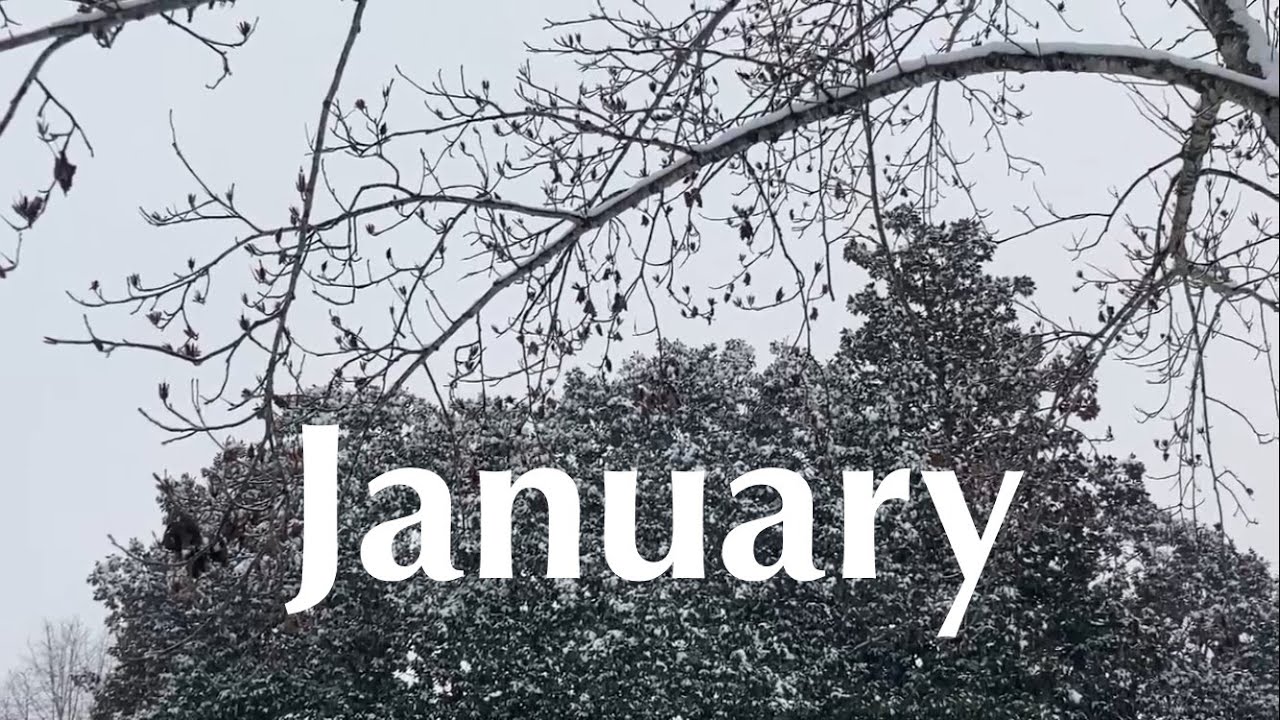 A Fresh Start