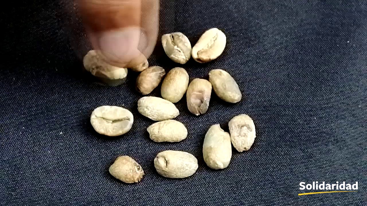 Calibración y mantenimiento de la despulpadora