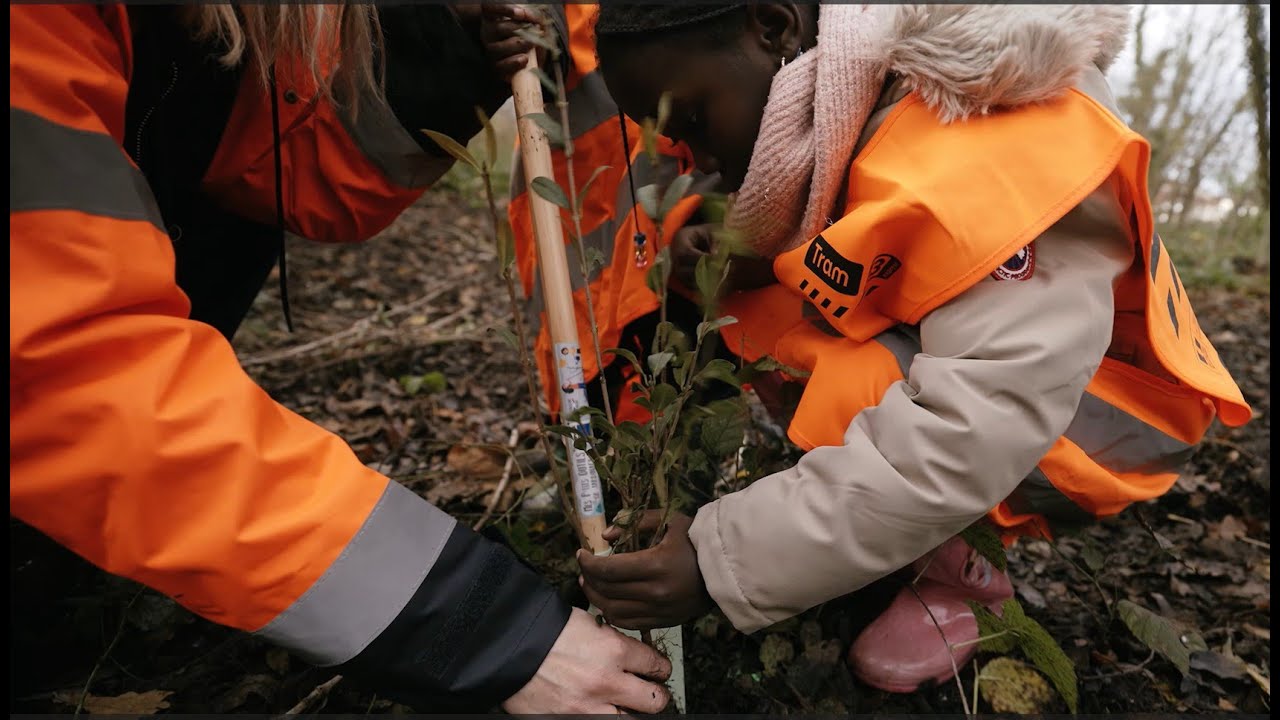 Tram T13 Prolongement - épisode 6 / Reboisement participatif avec les élèves de l'école Péguy