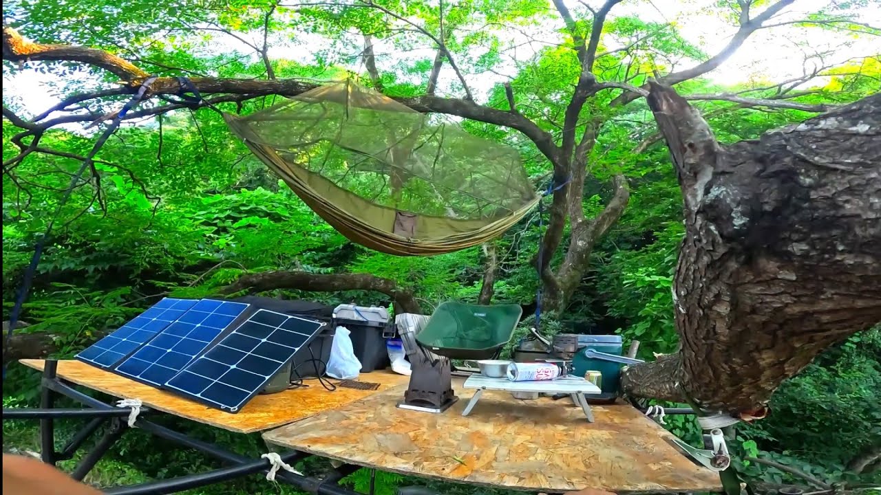 I went to a place where no one comes in a small boat and made a secret base in a tree!