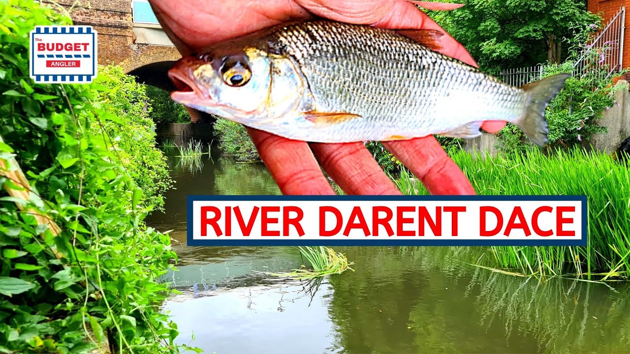 Float Fishing the River Darent
