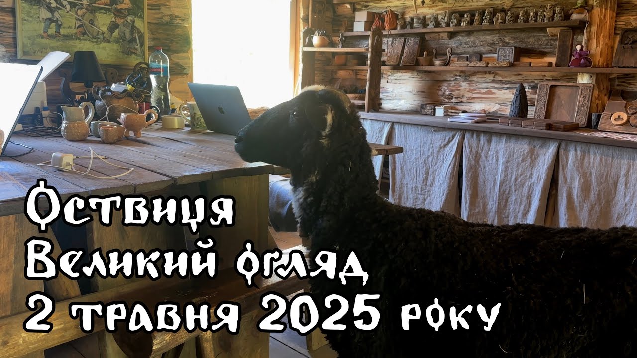 🎥 Великий відеоогляд Оствиці | 02.05.2025