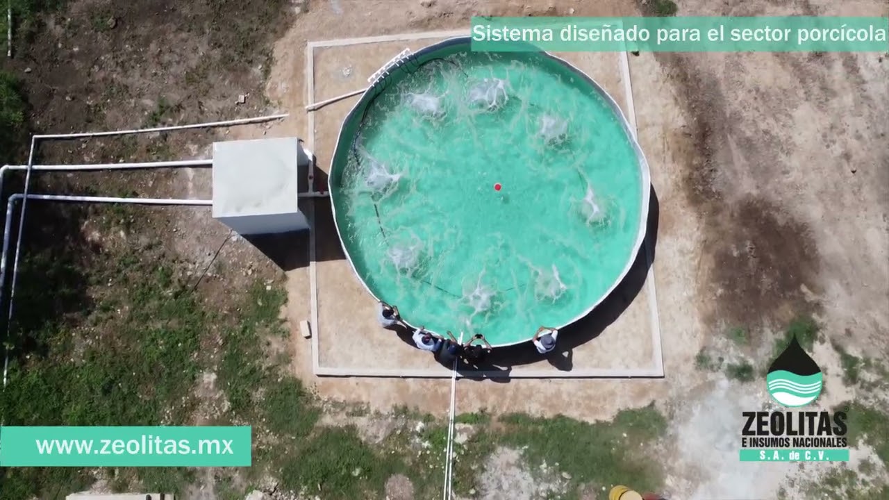 ZEOLITAS/ GRANJAS PORCICOLAS, tenemos la planta de tratamiento ideal para granjas porcinas.