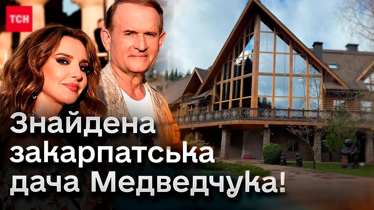 🐻🌲 Ще один 