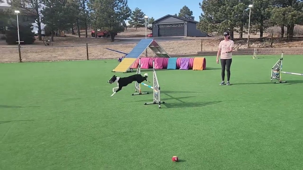 BeMo jump grids