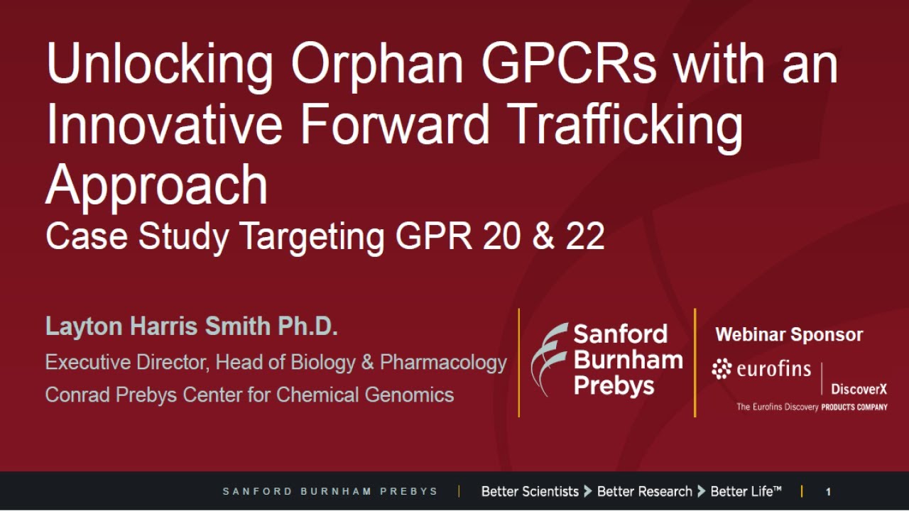 Unlocking Orphan GPCRs with an Innovative Forward Trafficking Approach