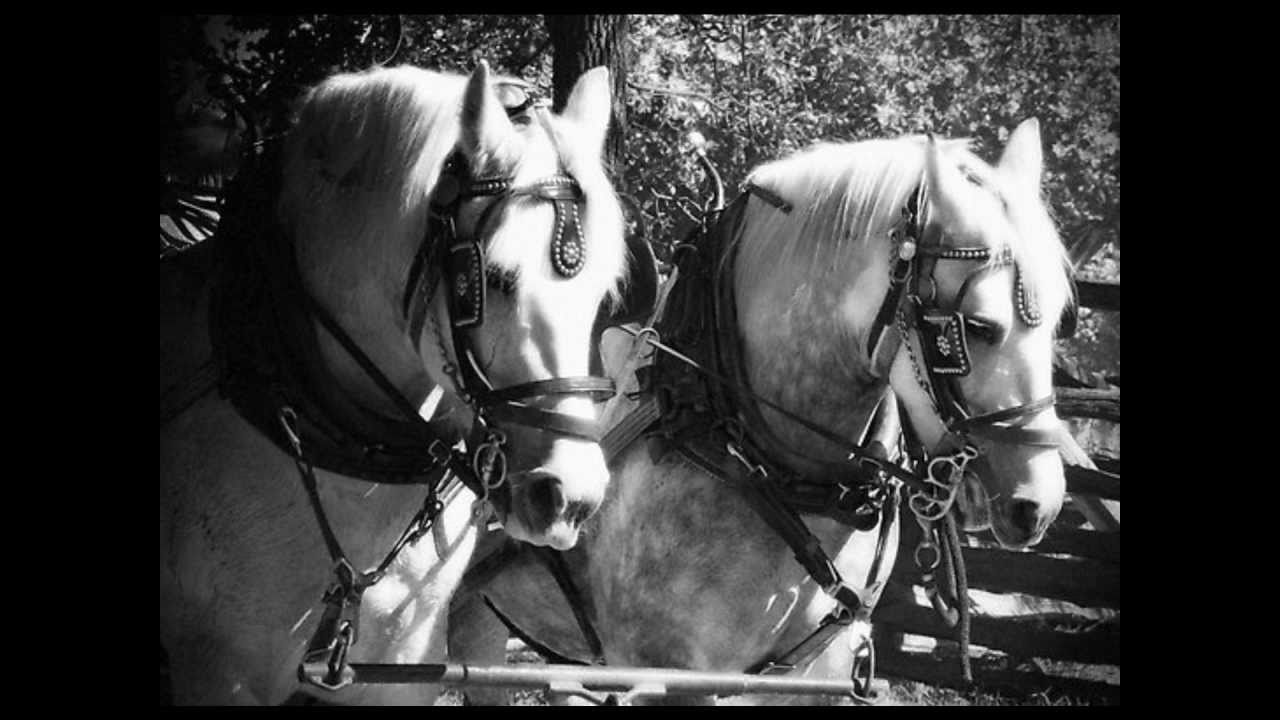 Joe Evans and Aruthur McClain - Two White Horses in a Line + John Henry Blues
