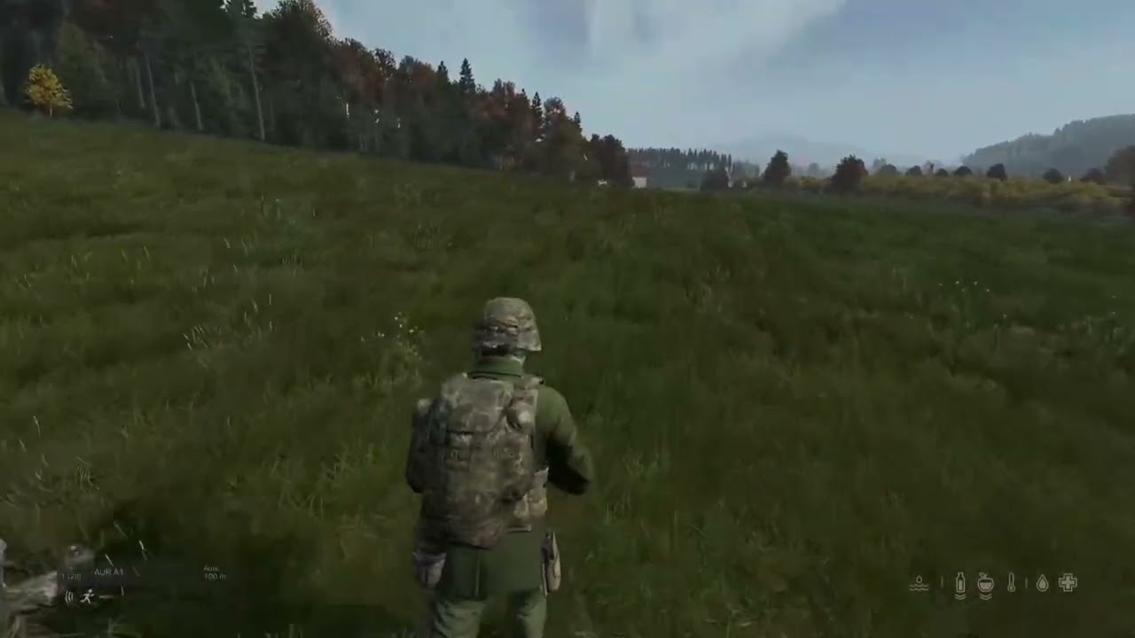 Dayz, 2vs2  zeleno