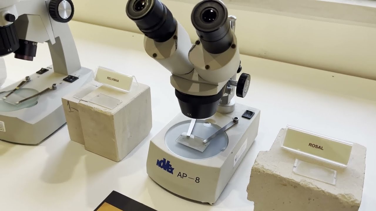 Grutas da Moeda: Explore o Centro Cient&iacute;fico, Joias e Souvenirs | Roteiro de Viagem em Portugal