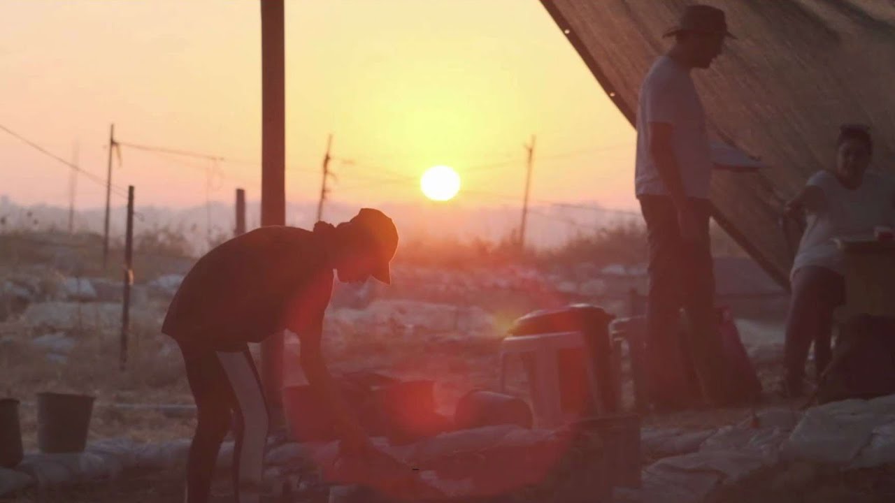 תגלית ארכיאולוגית מפתיעה: מילה באותיות כנעניות התגלתה בשלמותה