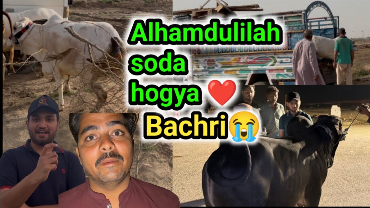 Mene first soda karwaliya mandi 2026 ma😱| Kitna ka liya😍