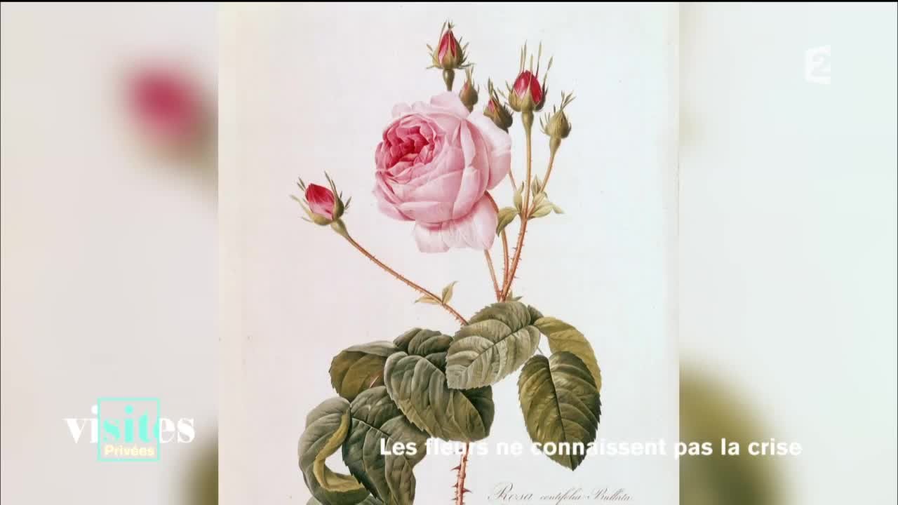 Pierre-Joseph Redouté, les fleurs au bout du pinceau - Reportage - Visites privées