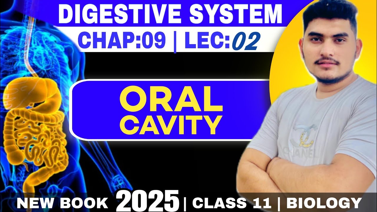 Oral cavity | Phonation | Functions of oral cavity | Salivary glands | Class 11th biology new book 