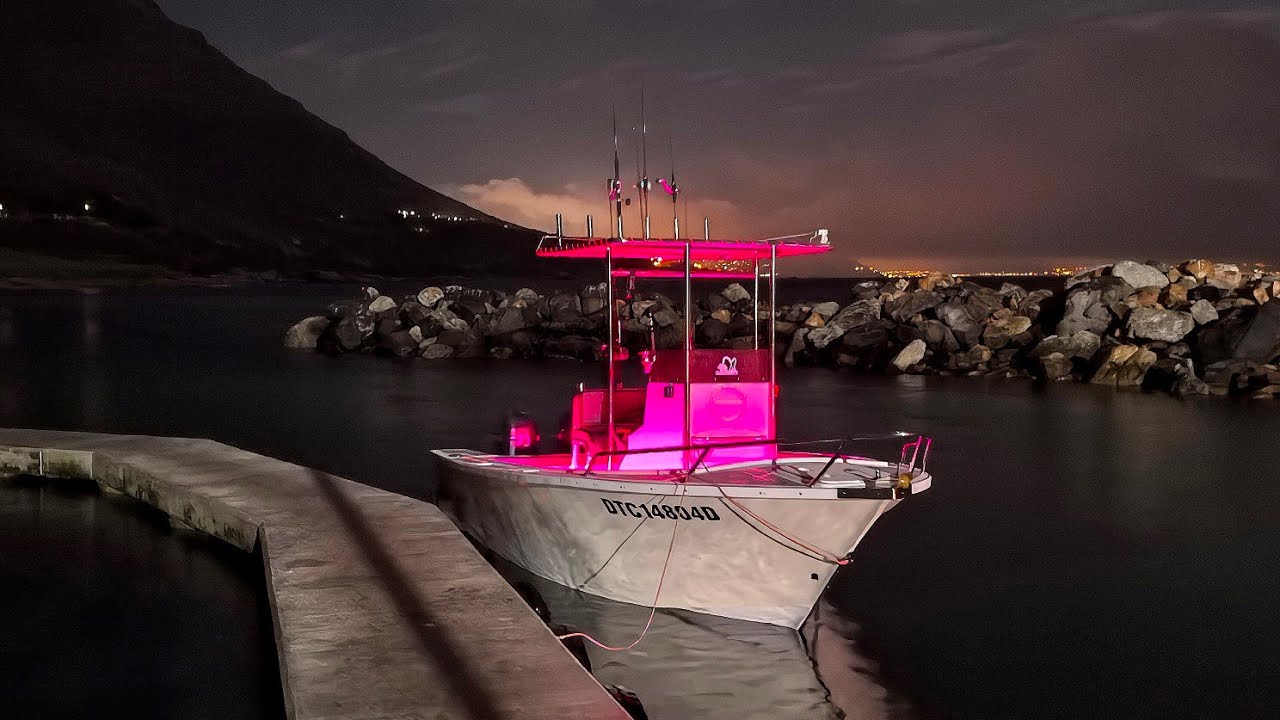 Solo Yellowtail catch and boat upgrades