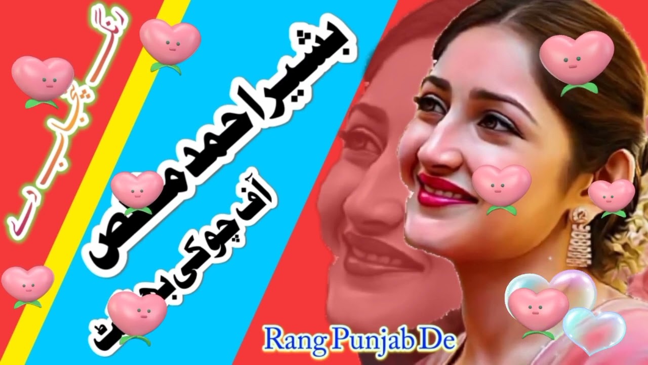 Basher Ahmed Mukhlas || Nazu Dholye || Punjabi Saraeki Song
