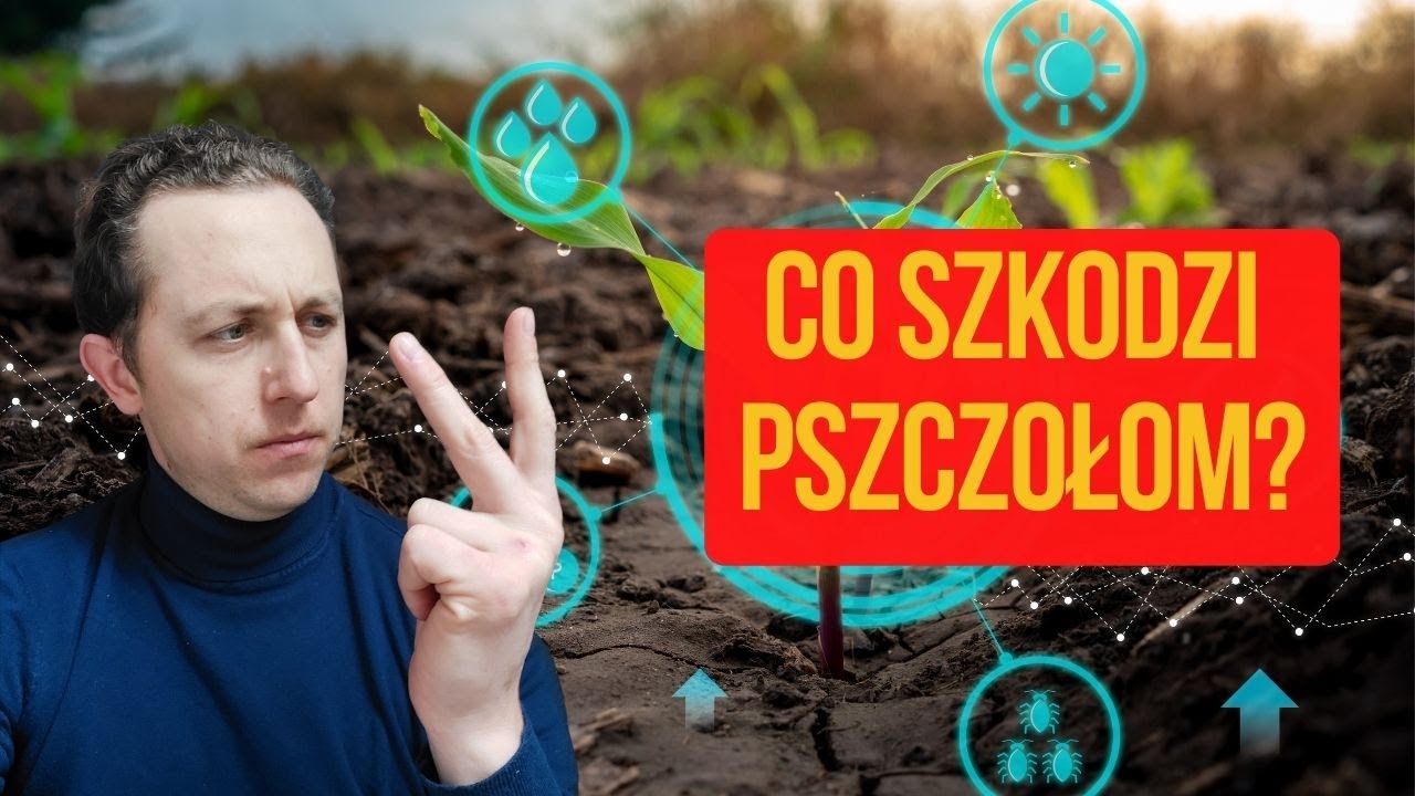 Jakie czynniki wpływają na śmiertelność pszczół?