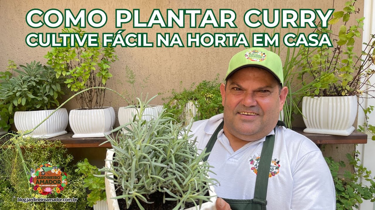 Curry | Plante Esse Delicioso Tempero na Horta em Casa