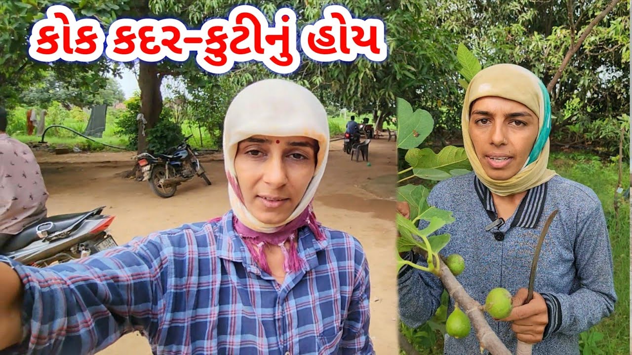 કોક કોક કદર-કુટીનું હોય | JSK Life 1103