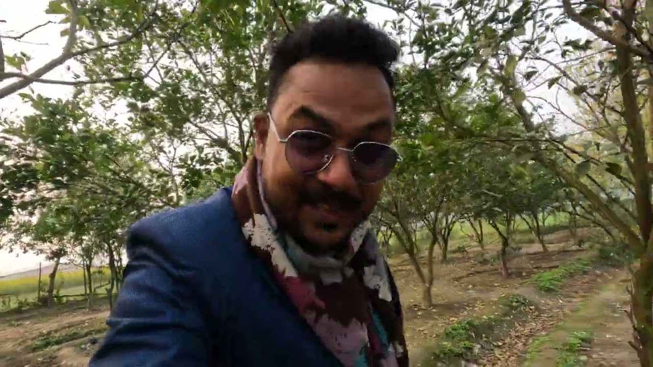 কমলা বাগান, পাবনার বিখ্যাত কমলার চাষ,  আসুন আপনাদের দেখাই ও লোকেশন জানাই