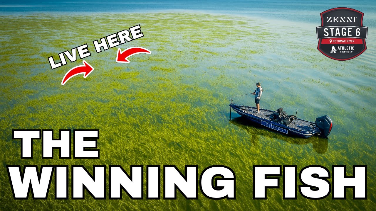 It Was Every Cast on this Grass Flat! - Potomac Day 1 - (Trimmed Up E35S3)