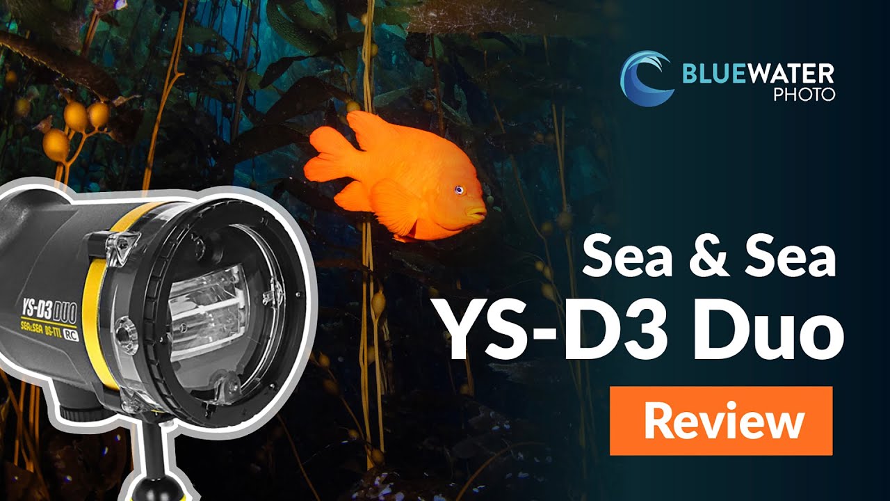 Обзор подводной вспышки Sea & Sea YS-D3 Duo // Стоит ли обновляться?