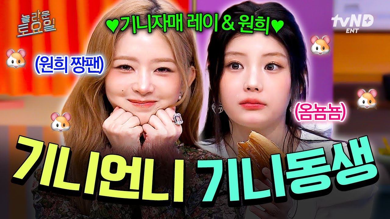 [#놀라운토요일] 영상에서 꾸이잉 소리 들림🐹 긴나 귀여운 기니자매 레이X원희 활약상✨