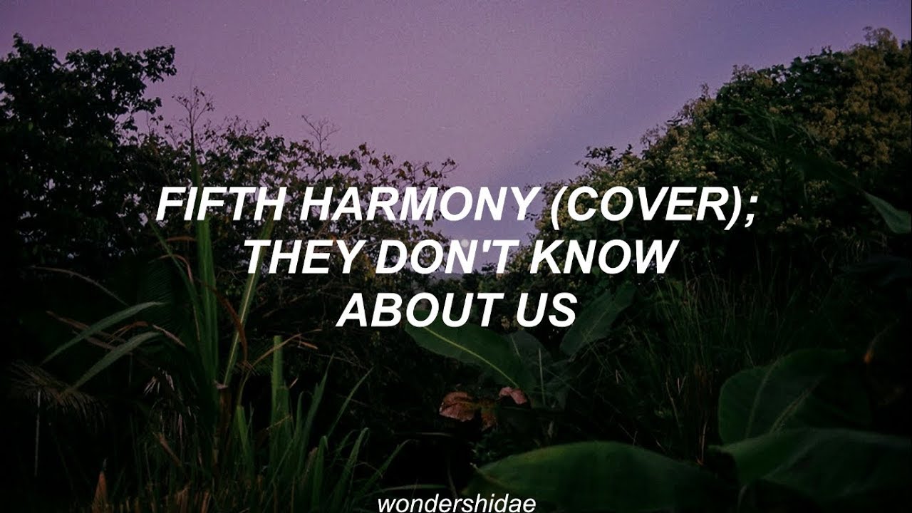 they don't know about us // fifth harmony, cover (traducida al español)