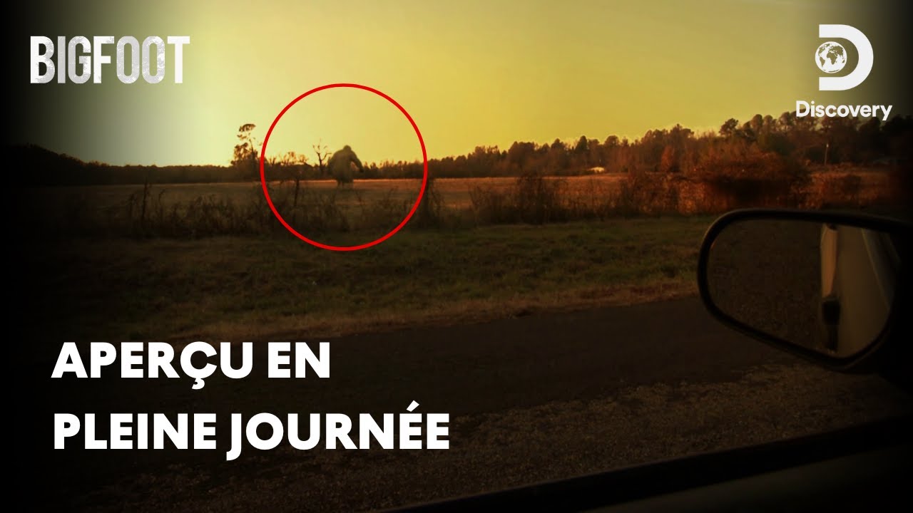 A la recherche du Bigfoot : retour à Boggy Creek