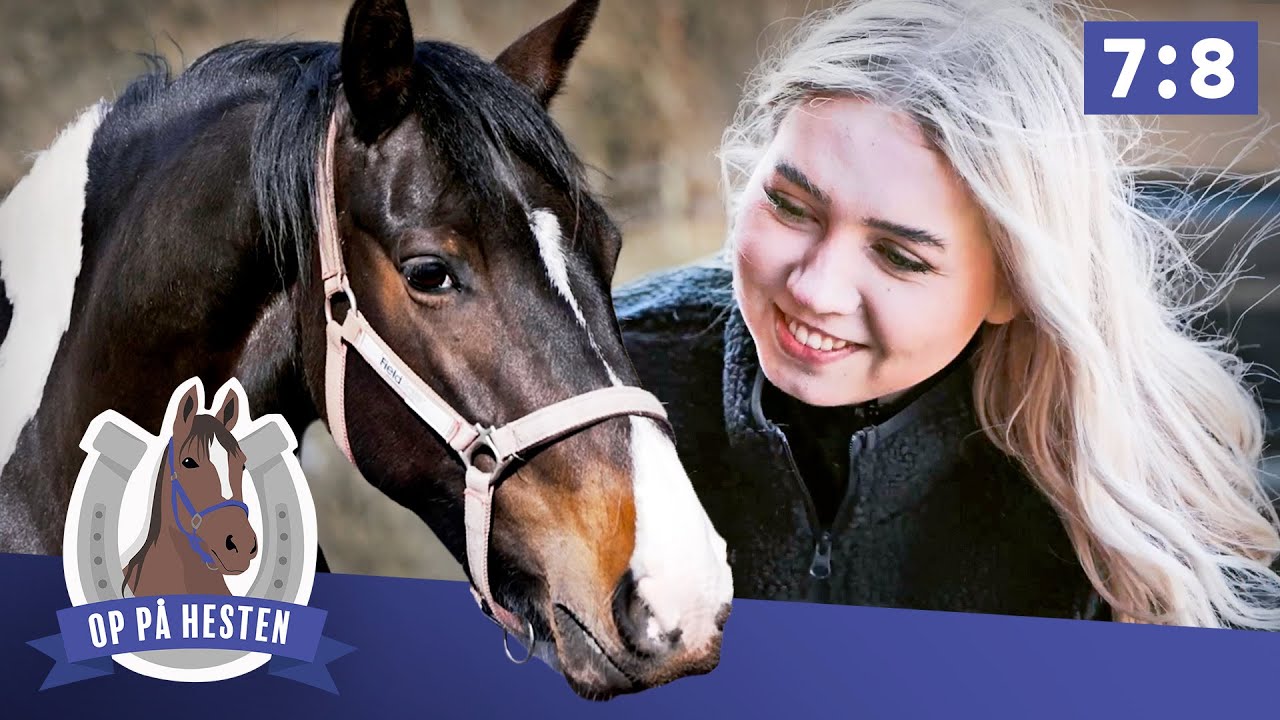Hest hjalp Mille tilbage efter lammelse – Op på hesten (7:8)