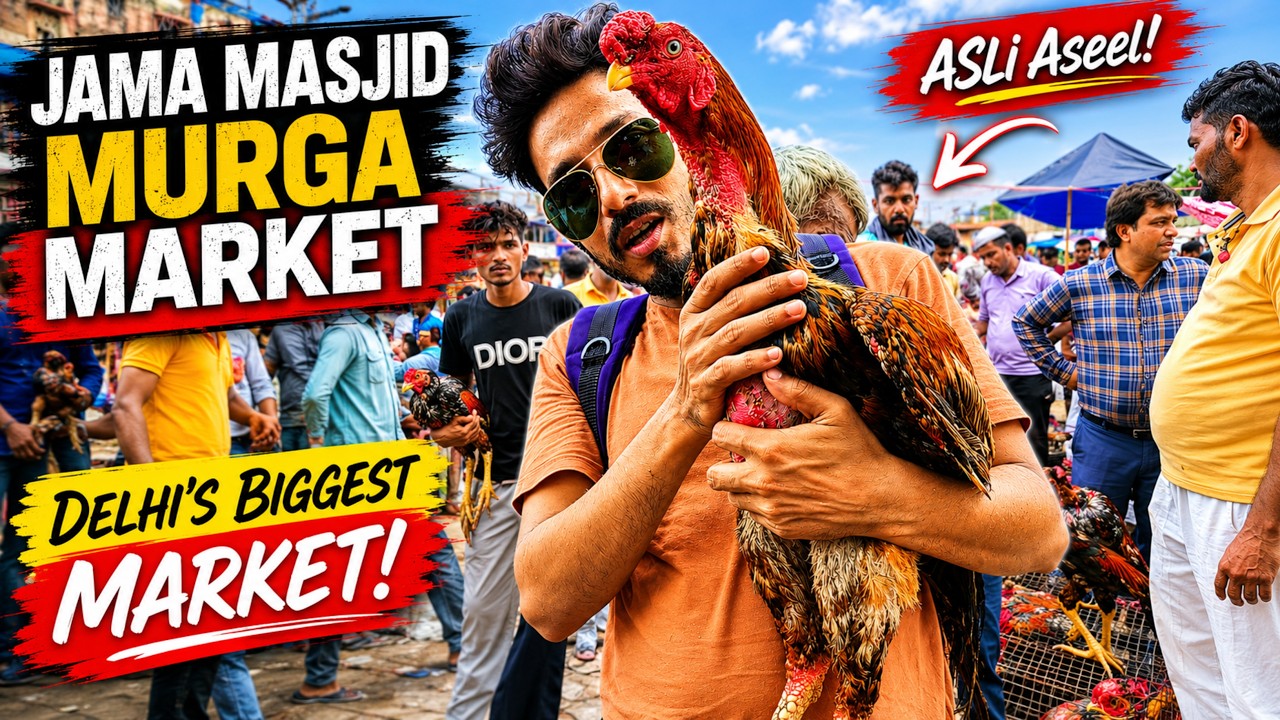 Jama masjid aseel murga market delhi 🔥 | top quality aseel murge | 20 July 2025