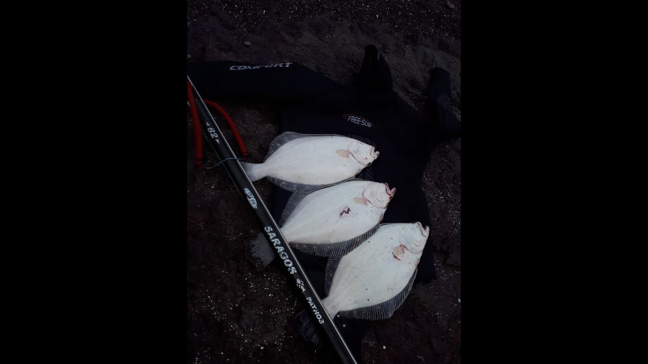 pesca submarina de lenguado y vida nocturna del mar