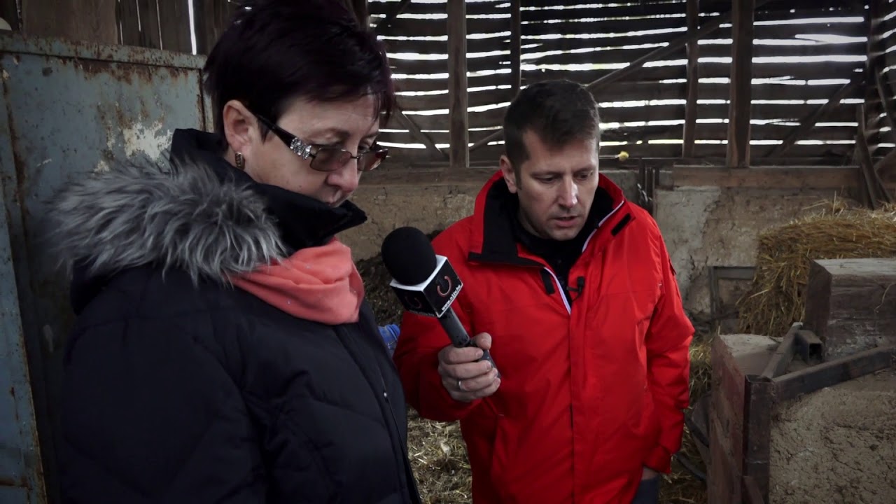FELDERÍTŐ - Polgármester: Menj a g.cibe!