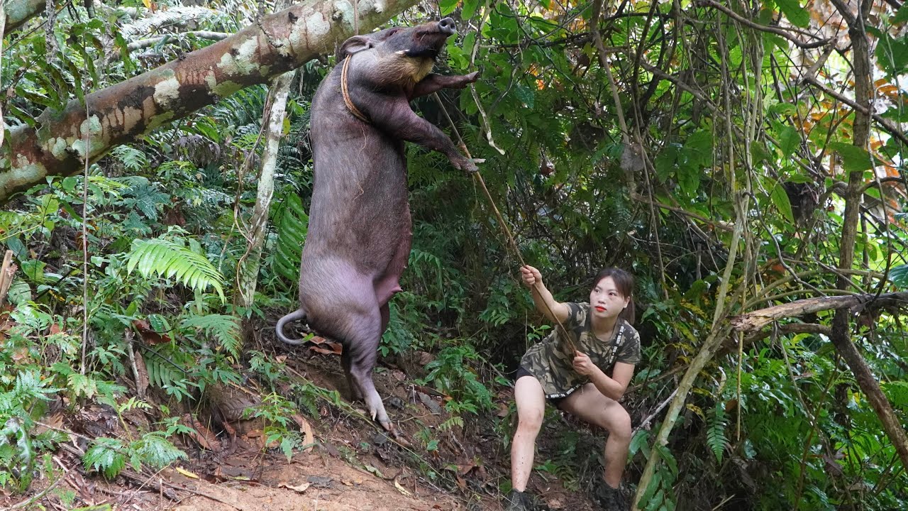 detect wild boar, make fence, trap wild boar,linh tân building