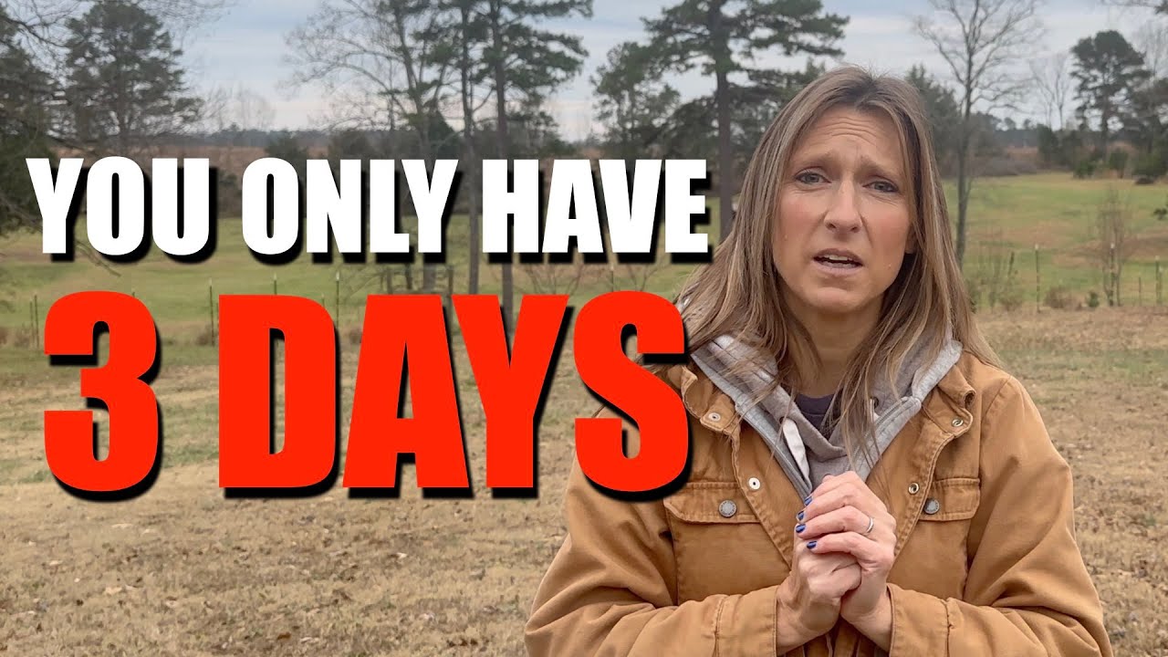 ОНО СЕЙЧАС // ПОЛУЧИТЕ ЭТО СЕЙЧАС ...... НЕ ЖДИТЕ