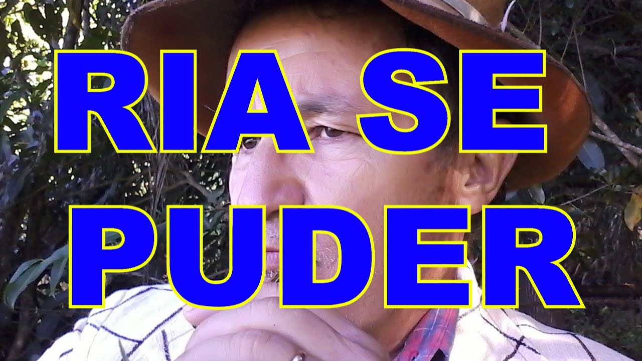 15 MINUTOS DE PIADAS PRA VOCE MORRER DE RIR
