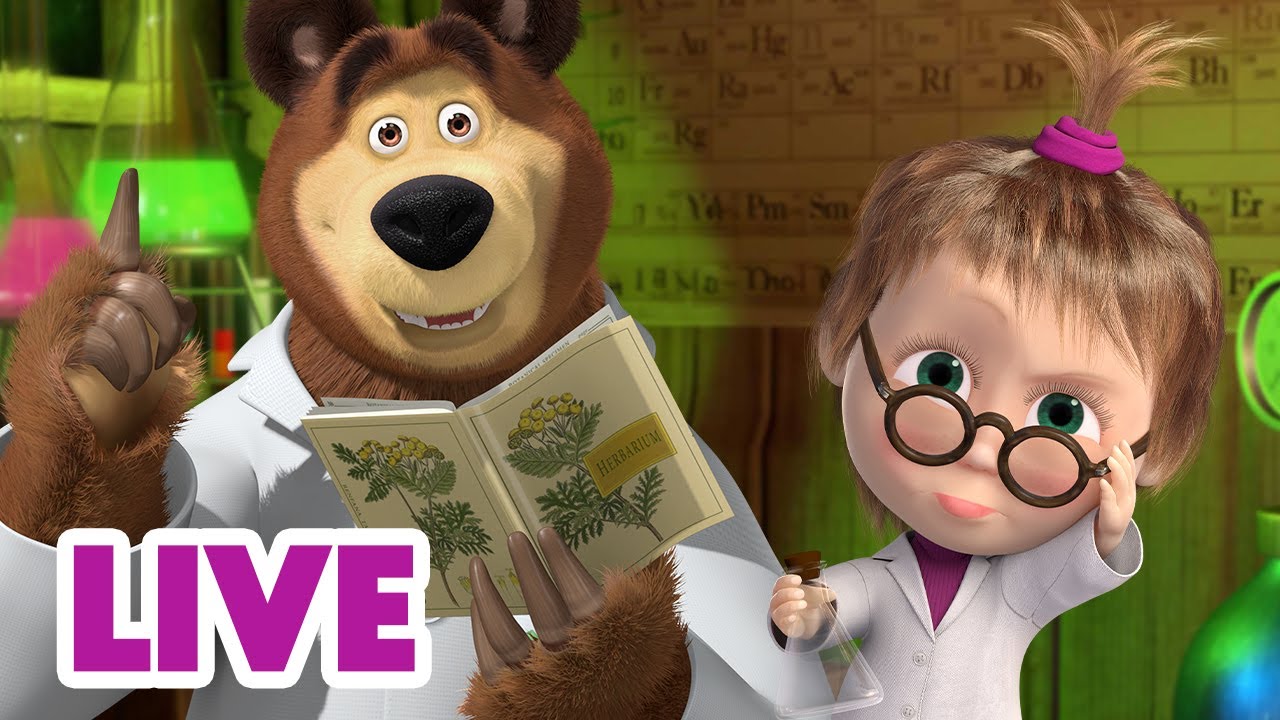🔴 LIVE 🐻👧 Masha y el Oso 2024 👀💡 El saber es poder 🎬 Masha and the Bear