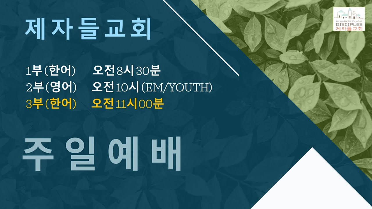 [LIVE] 2월 1일 2026년   주일 예배 [창세기 39:7-27절 형통의 사람 요셉 2] 제자들 교회 - 박종순 목사